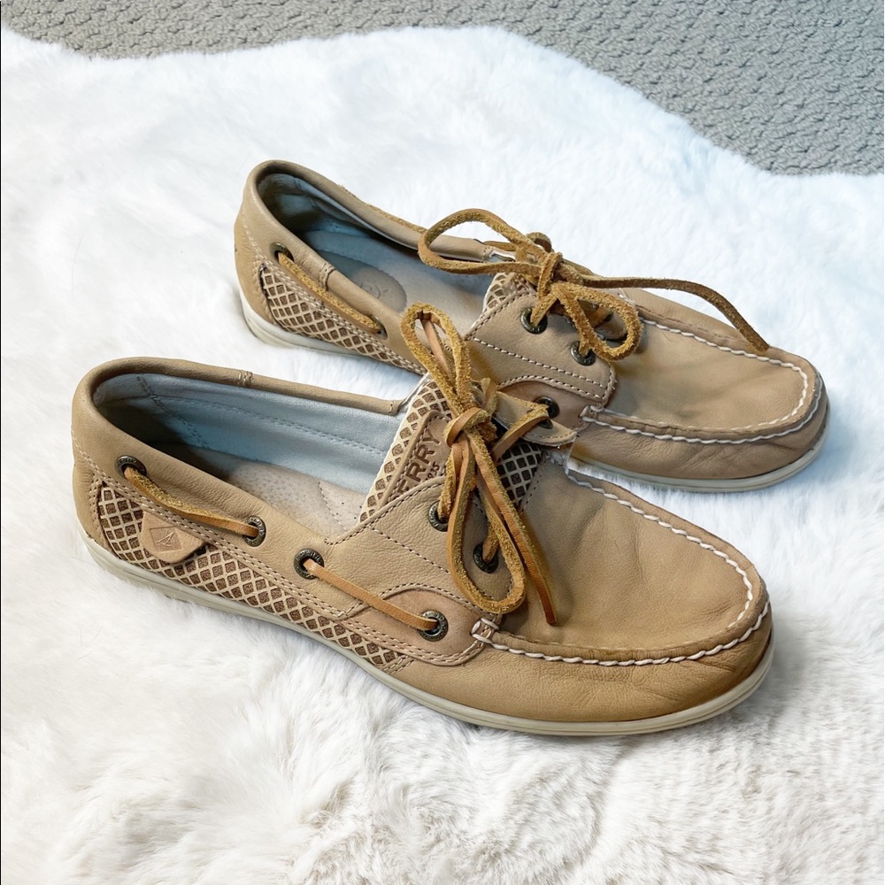 SPERRY brown boat shoes